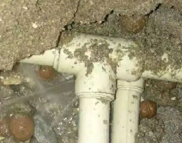 瑞安测漏水多少钱