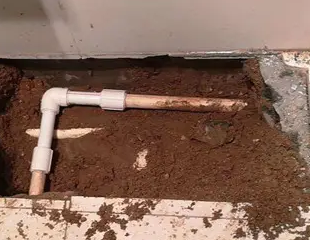 瑞安测漏水哪家好