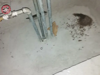 瑞安卫生间测漏水价格明细