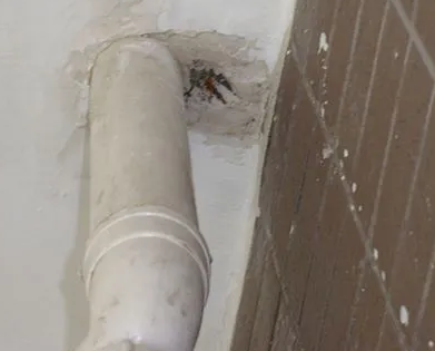 瑞安漏水检测哪家好